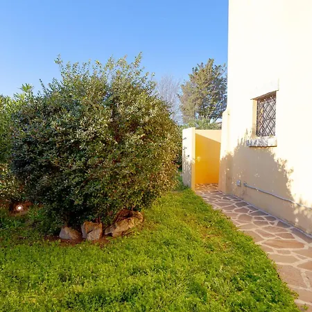 House With Garden *